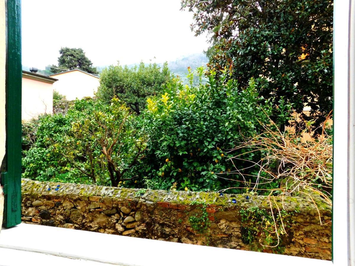 Bellissima Casa Nel Centro Storico!!! Lejlighed Levanto Eksteriør billede
