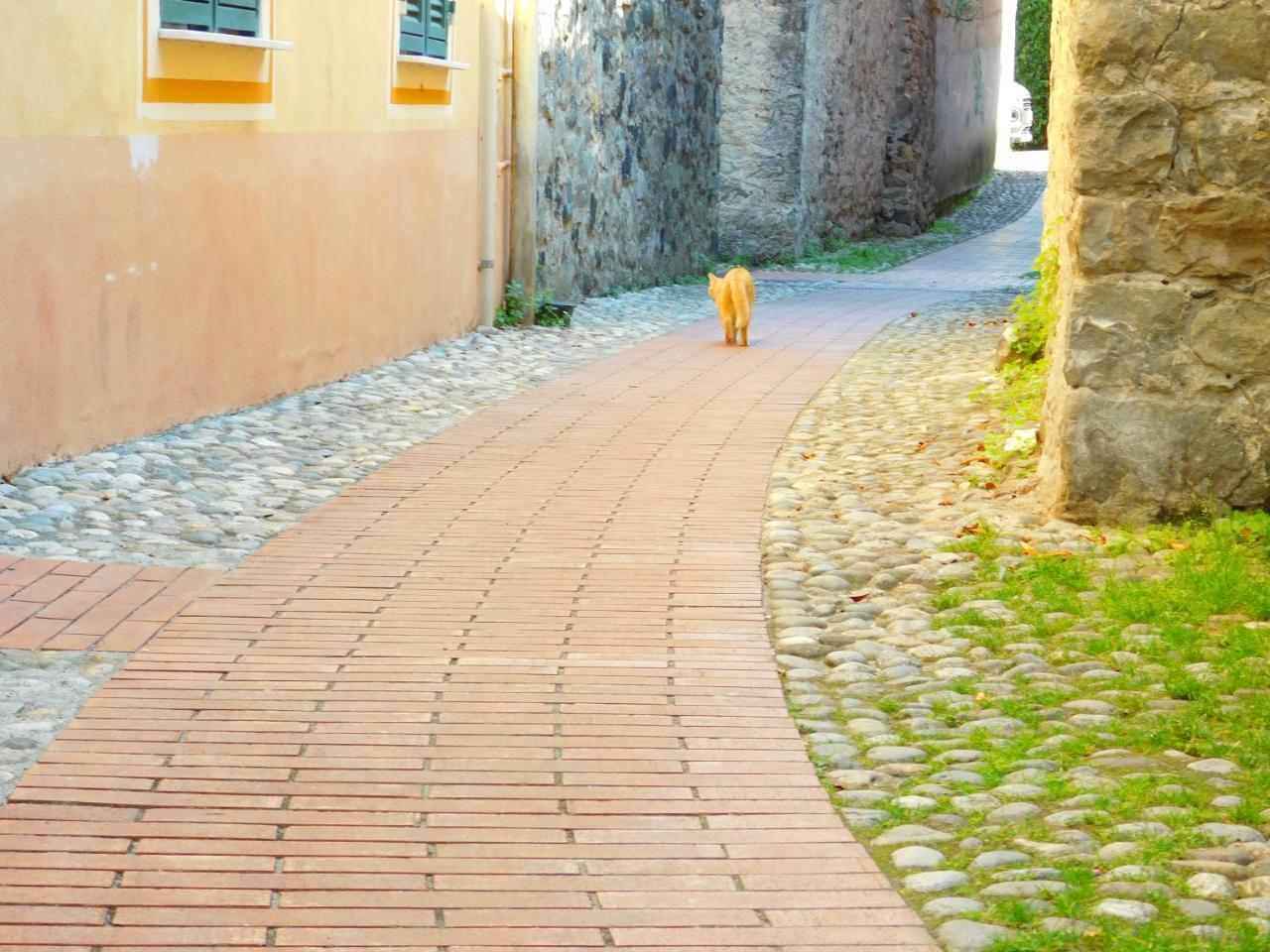 Bellissima Casa Nel Centro Storico!!! Lejlighed Levanto Eksteriør billede